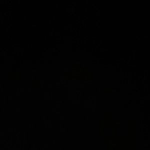 Meet your Posher, Peyton